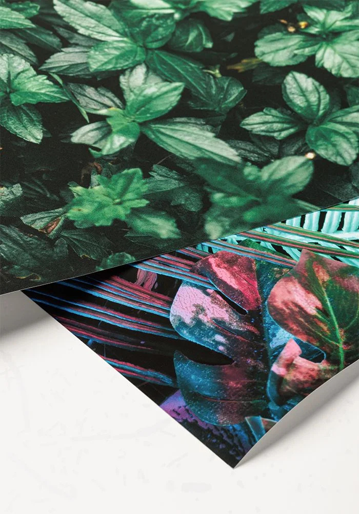 Print paper matte premium 